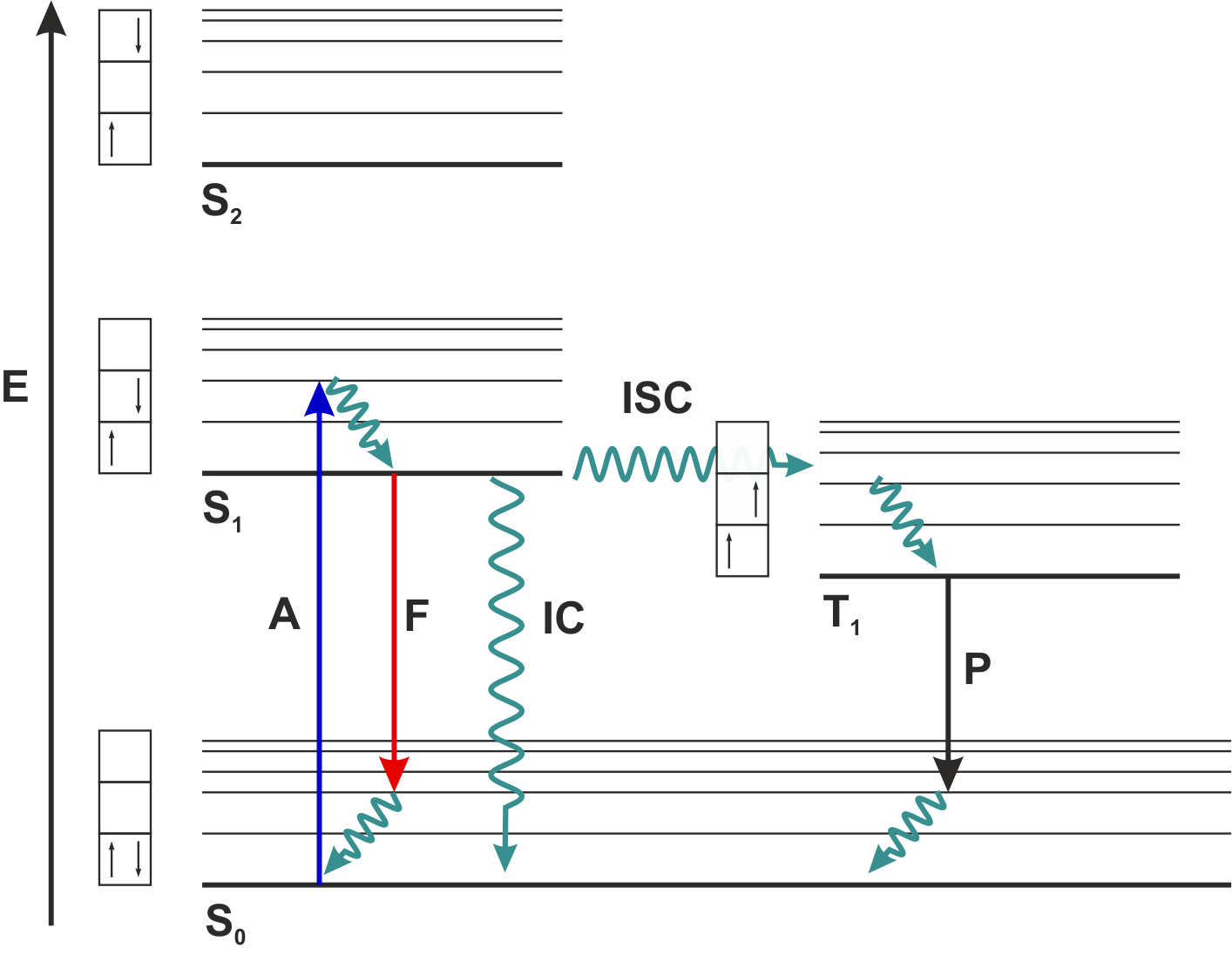 Jablonski energy diagram for fluorescence